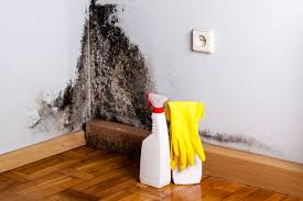 Best Air Quality Testing for Mold Spores  in Hamtramck, MI